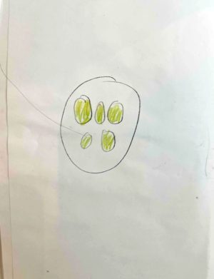 The Earth is an Octagon by Eito Nishida page 12